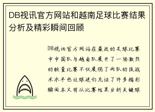 DB视讯官方网站和越南足球比赛结果分析及精彩瞬间回顾